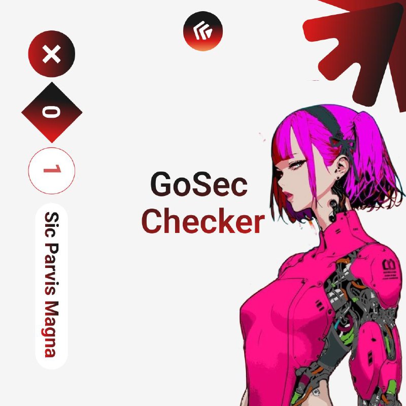 GoSec Checker