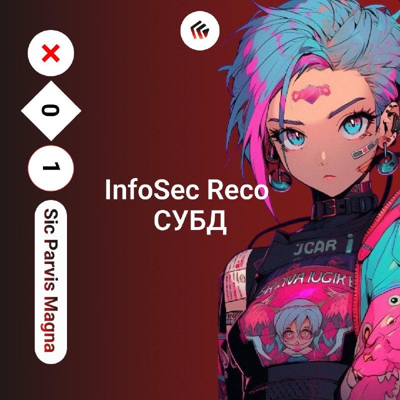 InfoSec Reco СУБД