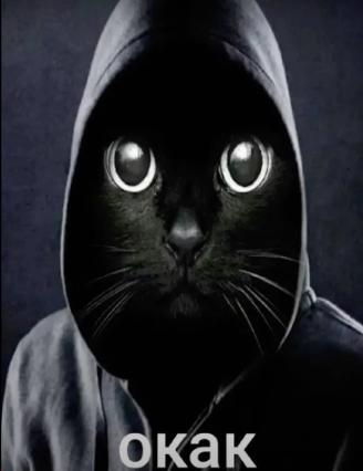 «Это цитата, слова, полные мудрости, которые кто-то важно сказал и может заставить читателя вдохновиться» - кто-то из великих.